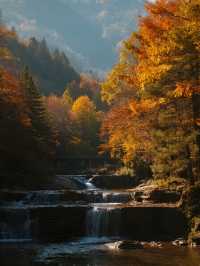 川西親子慢遊彩林溫泉+畢棚溝徒步超讚