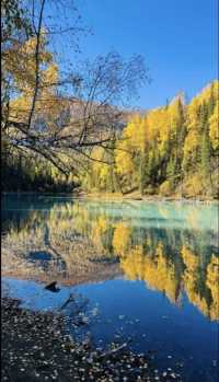 太難了!終於把喀納斯旅遊攻略搞清楚了