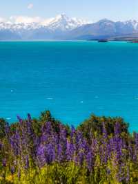 12-2月限定！紐西蘭南島小團享多種體驗