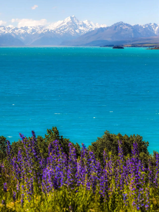 12-2月限定！紐西蘭南島小團享多種體驗