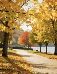 秋天的公園｜如詩如畫