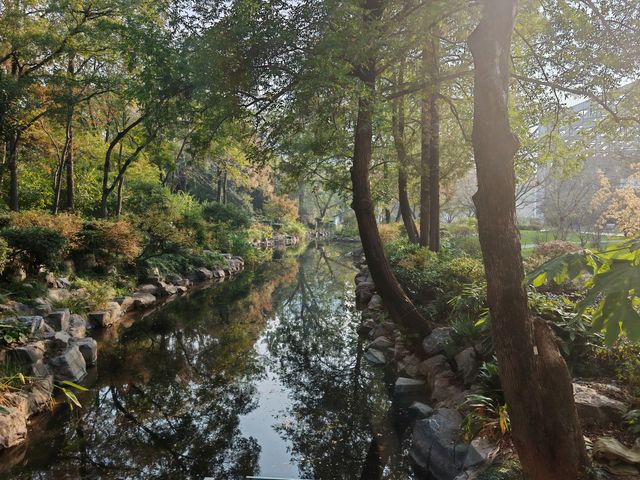 魔都植物園必看攻略櫻花季省時省力玩法