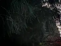 三清山奇遇記！誤打誤撞解鎖絕美晴天