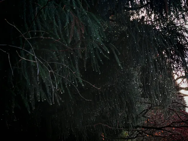 三清山奇遇記！誤打誤撞解鎖絕美晴天