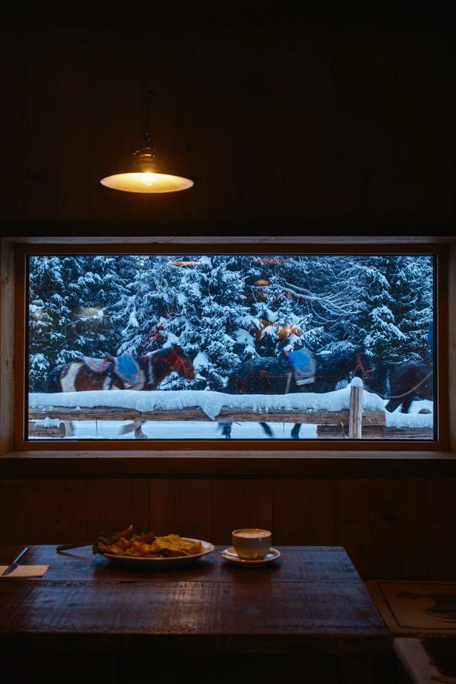 在禾木小住，遇到了夢想中的小木屋