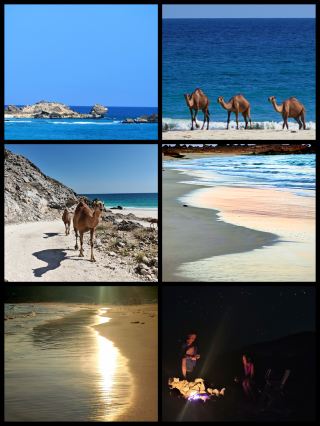 This scene only appears in southern Oman: white sandy beaches, wild camels, and pink-gold sunsets all in one frame