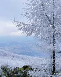 這簡直就是 滑雪愛好者的福音!!!