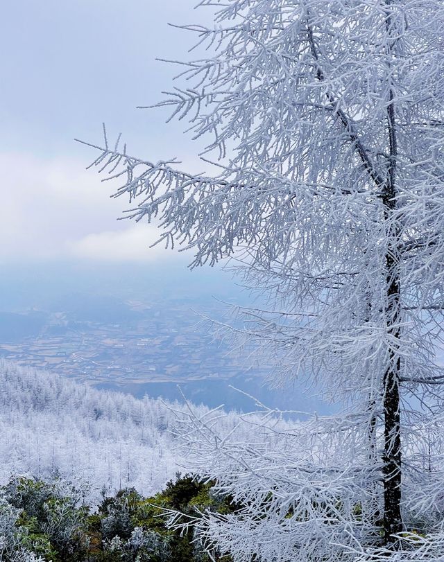 這簡直就是 滑雪愛好者的福音!!! 這簡直就是 滑雪愛好者的福音!!!