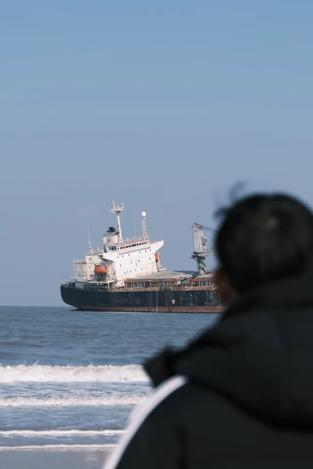 曲項向天歌~ 曲項向天歌~