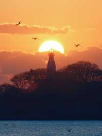 冬季的青島才是旅行天花板!!