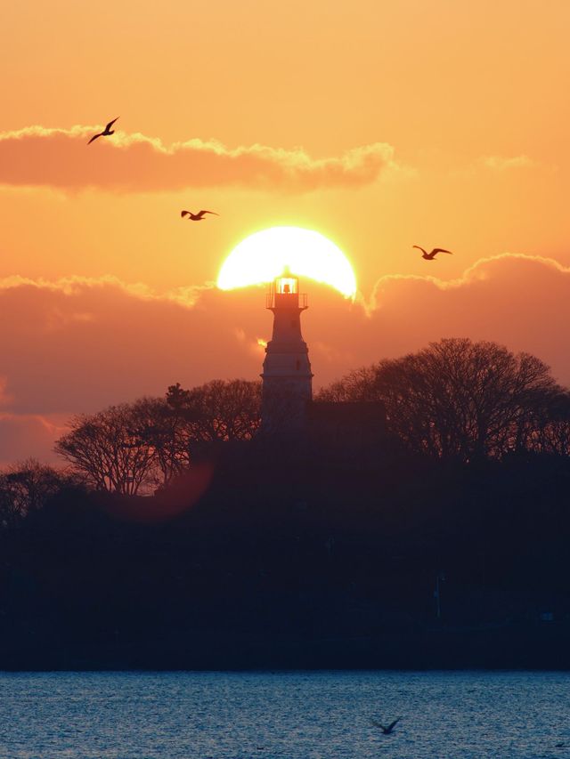 冬季的青島才是旅行天花板!! 冬季的青島才是旅行天花板!!