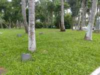 海口氣質拍照聖地