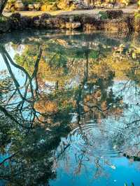 蘇州園林秋景美如畫一秒穿越古代當住園主人