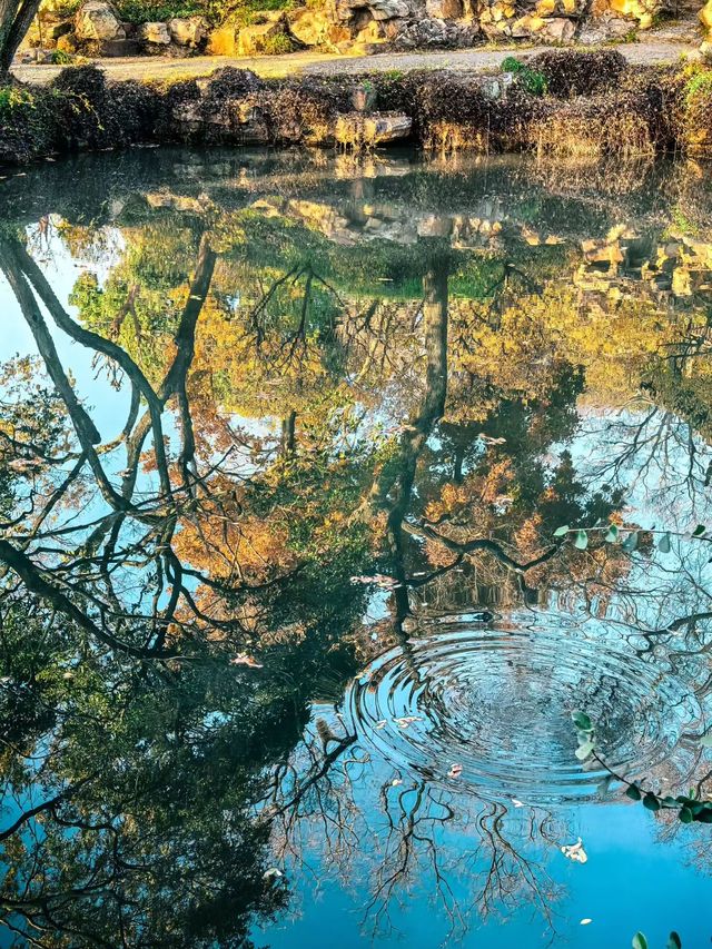 蘇州園林秋景美如畫一秒穿越古代當住園主人