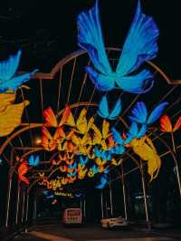 Почему Шанхай весной прекраснее всего 🌸