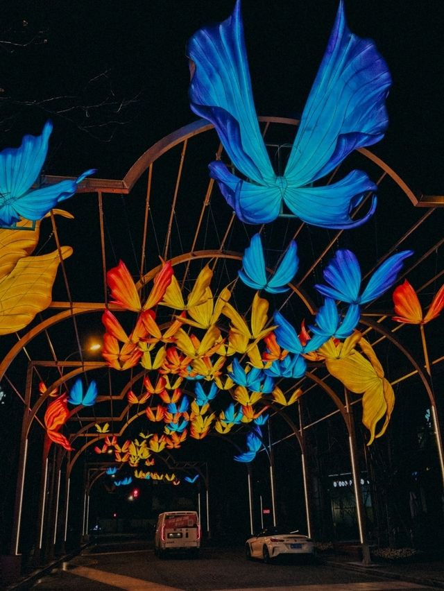 Почему Шанхай весной прекраснее всего 🌸 Почему Шанхай весной прекраснее всего 🌸