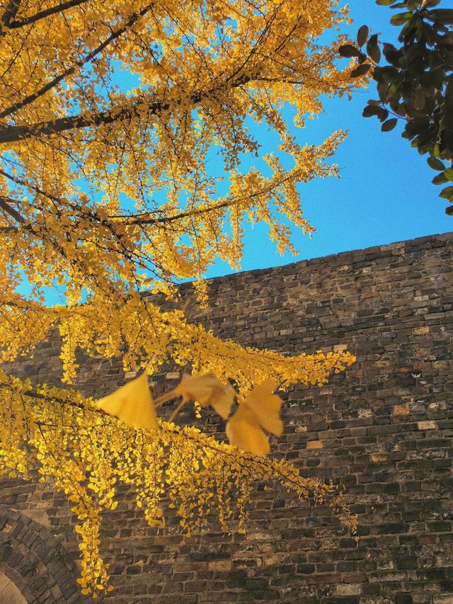 保姆級出片指南朝天宮藍白穿搭攻略