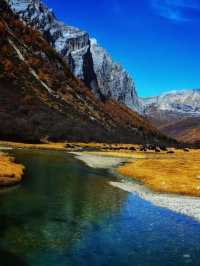 1天成都包車遊打卡必玩景點