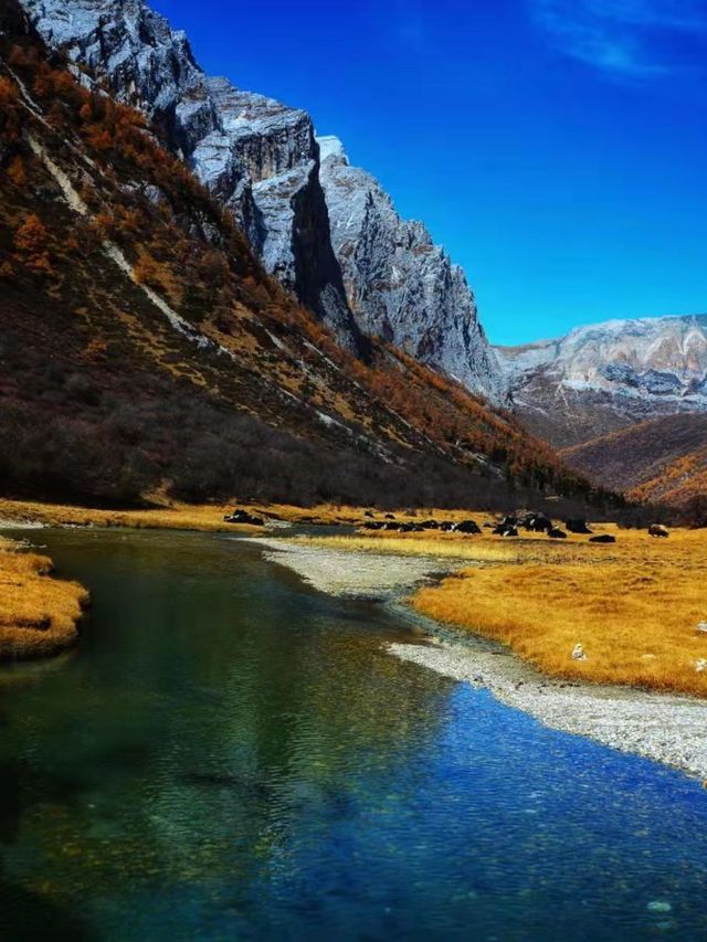 1天成都包車遊打卡必玩景點