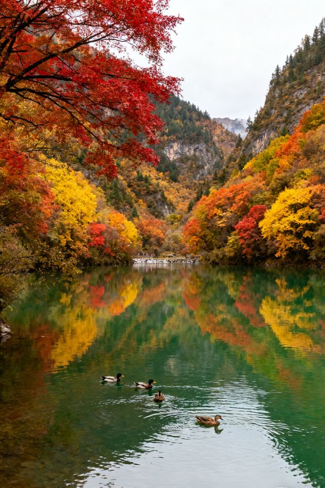 逃離熱浪,奔赴隴南22℃的夏天!在宕昌,邂逅山水、紅城與藥香裡的療癒之旅 當盛夏的熱浪席捲城市,你 逃離熱浪,奔赴隴南22℃的夏天!在宕昌,邂逅山水、紅城與藥香裡的療癒之旅 當盛夏的熱浪席捲城市,你