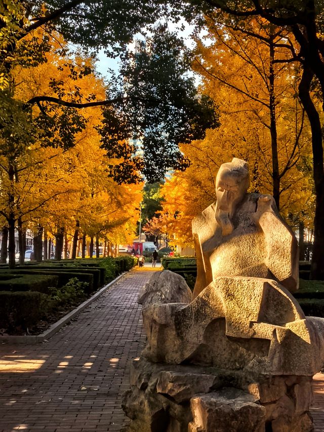 一場落在肇嘉浜路中的銀杏雨。