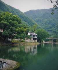 不擺架子只擺熱茶鴻達酒店