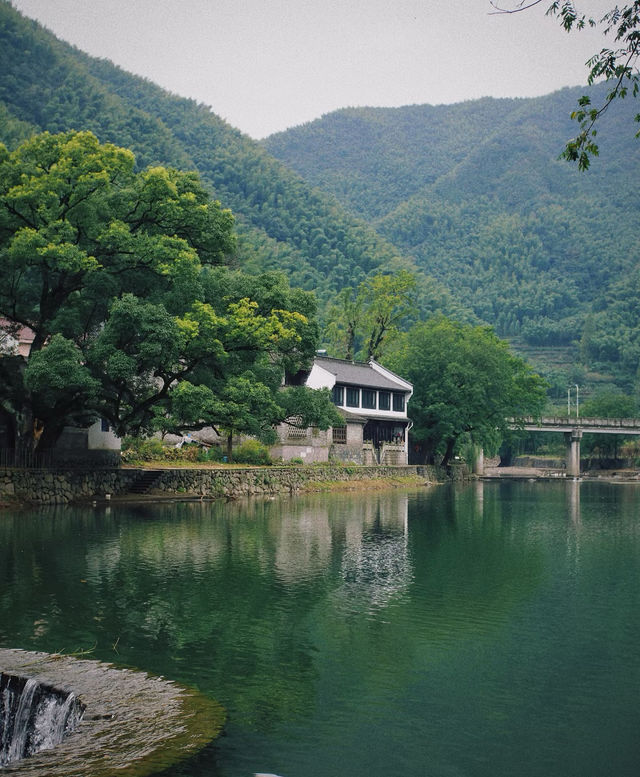 不擺架子只擺熱茶鴻達酒店 不擺架子只擺熱茶鴻達酒店