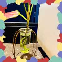 攜親旅居蘇家屯,豪澤家庭房藏滿暖心時光