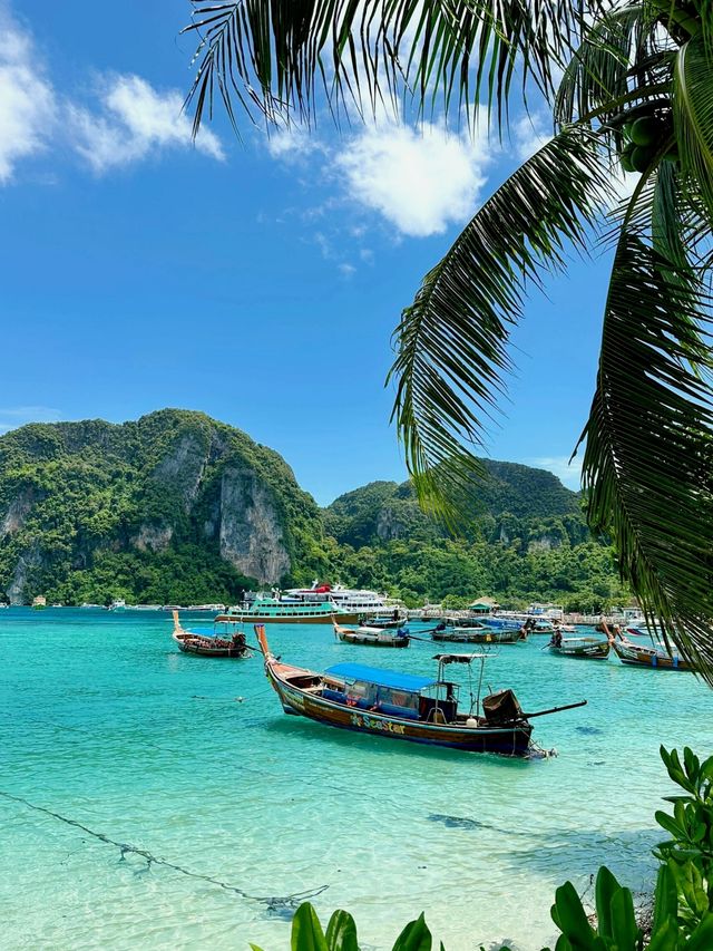 海水藍得直戳心巴,清透質感遠勝一日遊匆匆打卡,沉浸式看海才夠 海水藍得直戳心巴,清透質感遠勝一日遊匆匆打卡,沉浸式看海才夠
