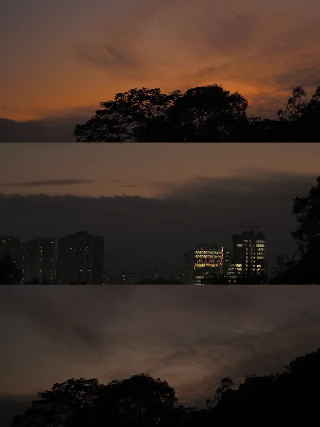 ｜抓住一個出門溜溜就好開心的濃濃