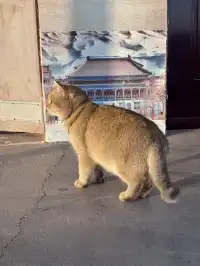 甘青線淡季遊敦煌（下）