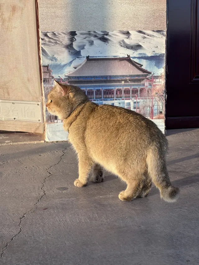 甘青線淡季遊敦煌（下）