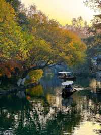 花港觀魚確實美得超出!附賞楓攻略