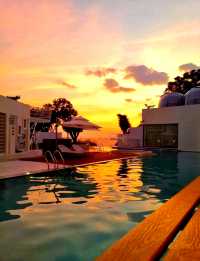 伶仃洋慢遊攻略