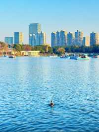 上海世紀公園週末漫遊指南免費賞秋絕美勝地