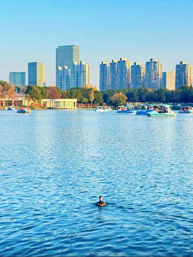 上海世紀公園週末漫遊指南免費賞秋絕美勝地 上海世紀公園週末漫遊指南免費賞秋絕美勝地