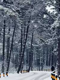 【長春·淨月潭|一座藏在城市裡的雪國森林】