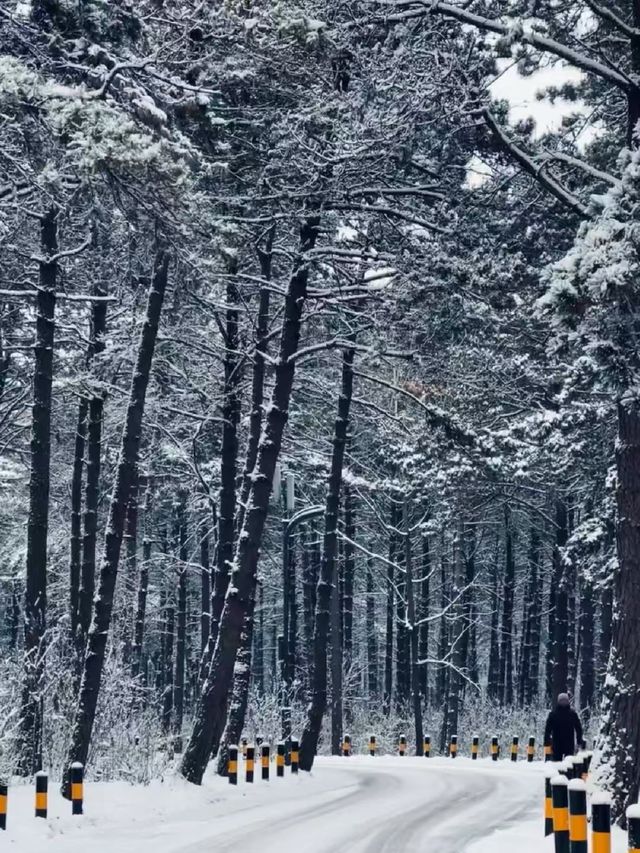 【長春·淨月潭|一座藏在城市裡的雪國森林】 【長春·淨月潭|一座藏在城市裡的雪國森林】