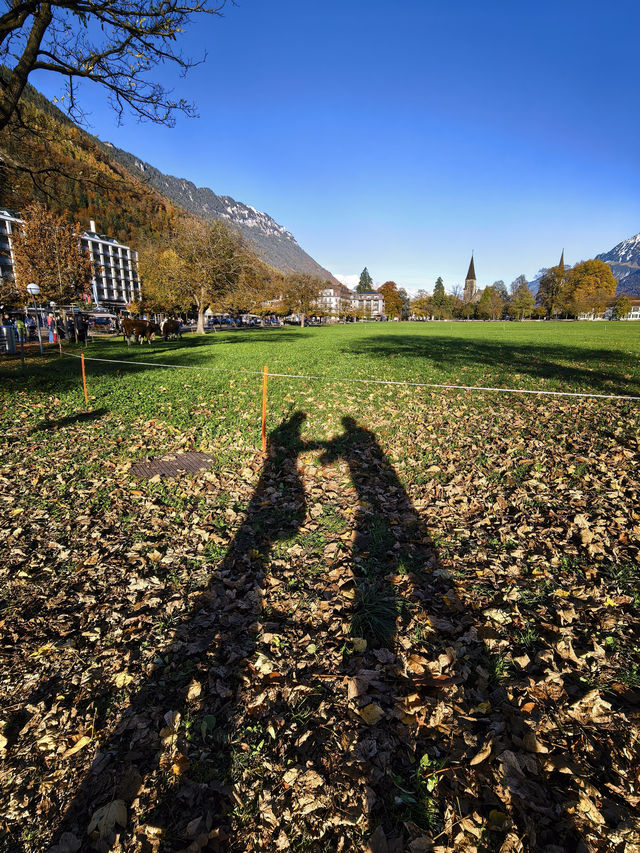 因特拉肯,愛在深秋 因特拉肯,愛在深秋