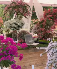 第43站｜深圳週末好去處•蓮花山公園