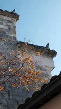 南京周邊遊——皖南的秋