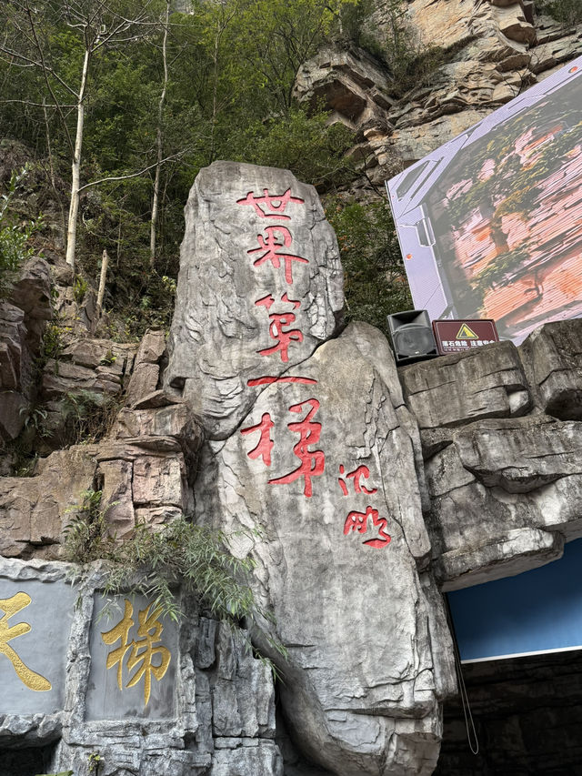 張家界 / 百龍天梯 張家界 / 百龍天梯