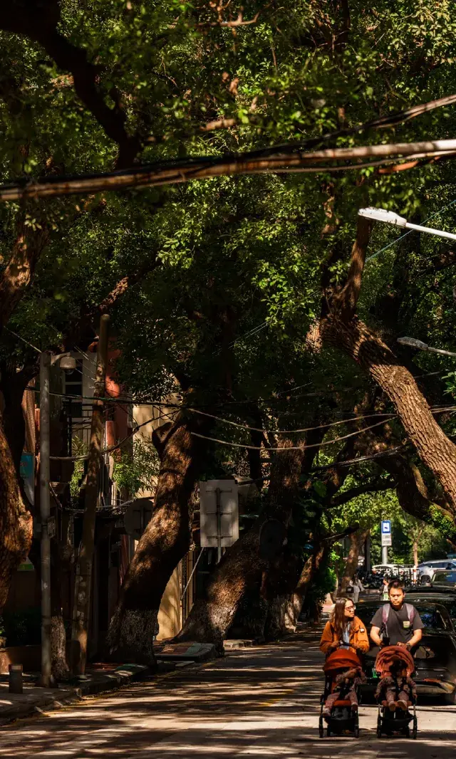 廈門拍照|在陽光鋪滿的信義路看發光的秋天