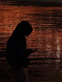 鸚鵡洲長江大橋