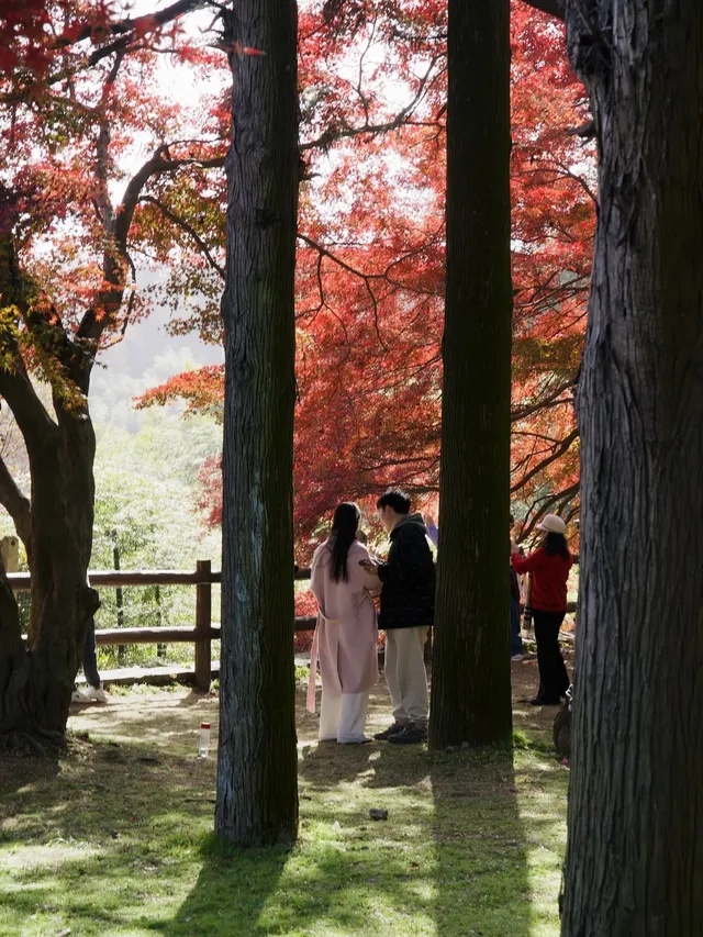 算了，和你們沒來過雄莊的人說不清楚