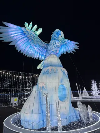 휴스턴 생활｜겨울 판타지 등불 전시 너무 아름다워요