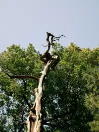 無錫週末去哪兒--紹興篇