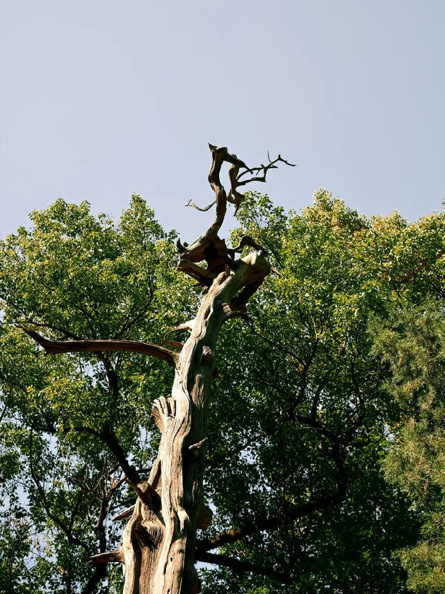 無錫週末去哪兒--紹興篇 無錫週末去哪兒--紹興篇