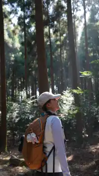 墜入「暮光森林」平陽滿田森林公園
