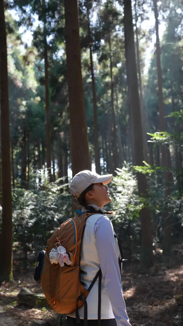 墜入「暮光森林」平陽滿田森林公園 墜入「暮光森林」平陽滿田森林公園